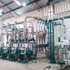 Automatic Running 50t/24h Maize Milling Machine Design for Zambia Market