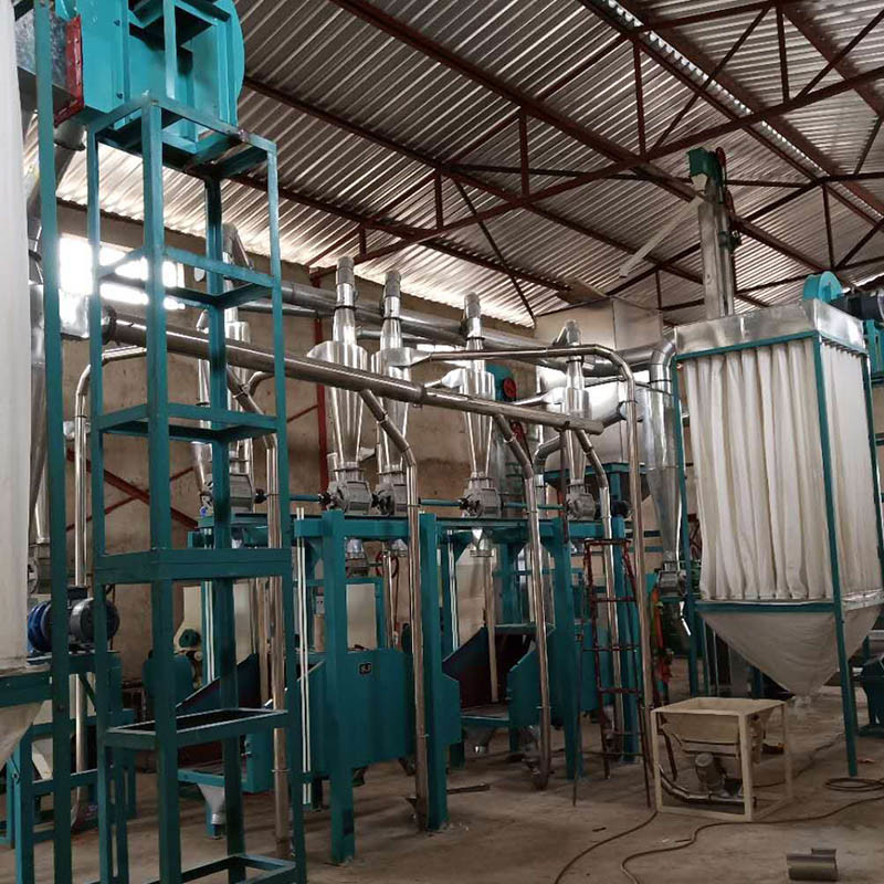 Designed for Tanzania Market 100t/24h Maize Milling Plant