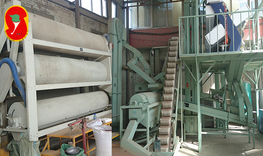 Maize Seed Processing Production Line with High Efficiency
