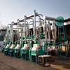 Green Torch Factory Price 50t/24h Maize Flour Milling Plant for Sale