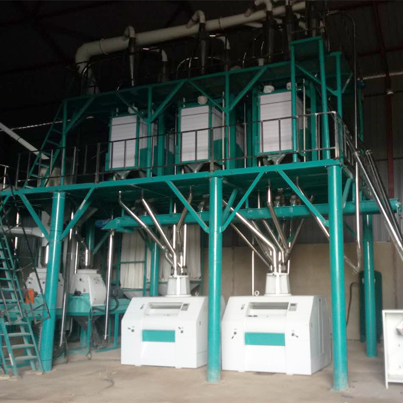 50t/24h Fully Automatic Maize Flour Milling Plant