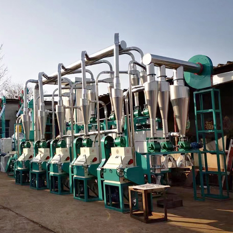 maize processing plant cost